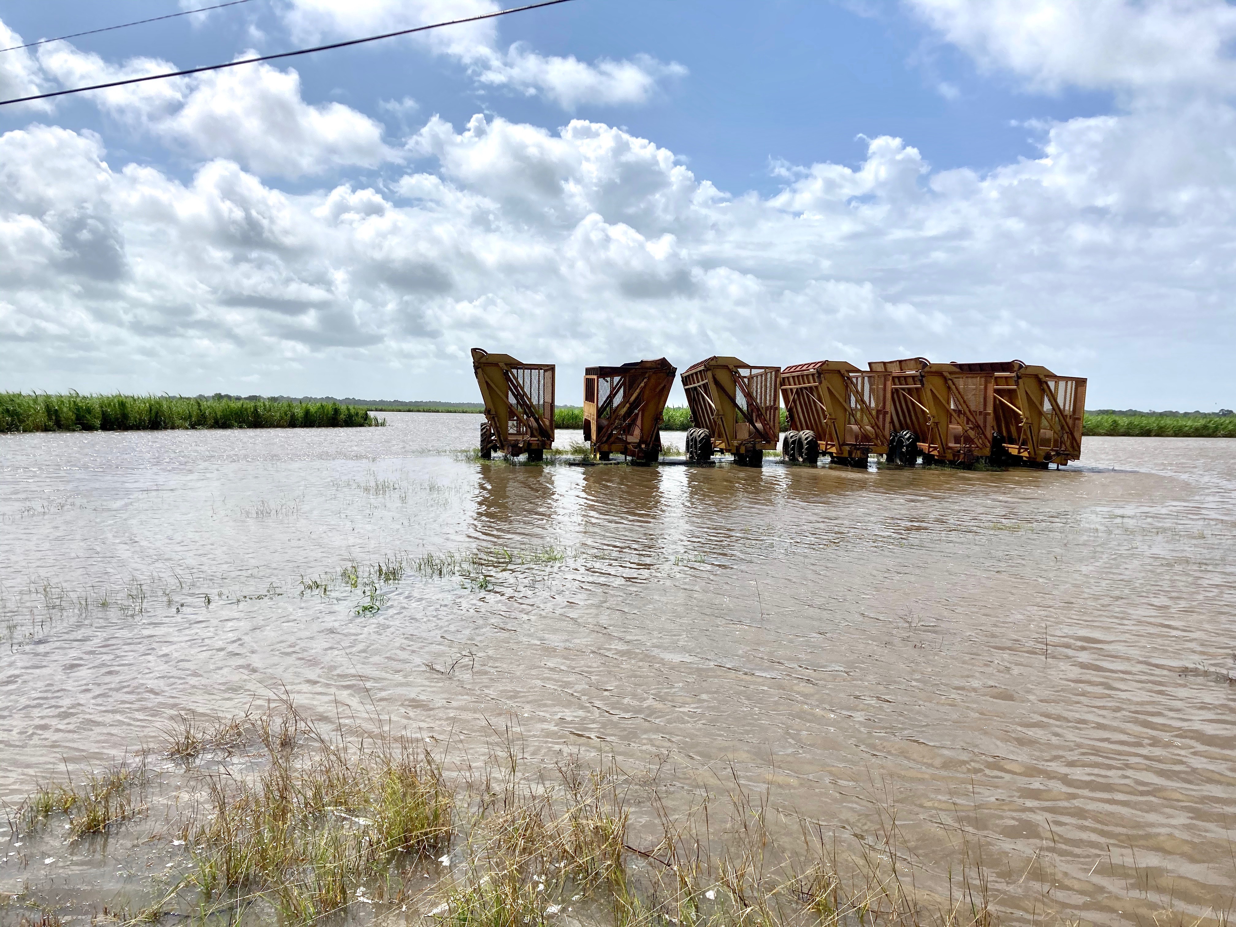 Agriculture, forests, residences take hit from Hurricane Laura